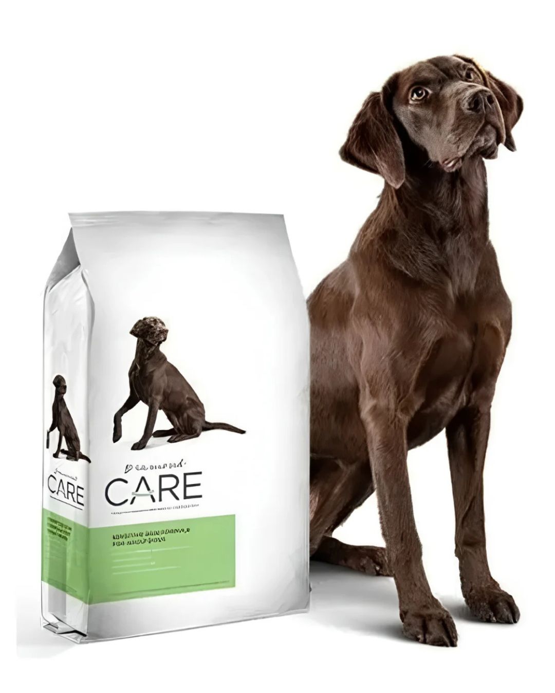 Diamond Care Alimento para perros de piel sensible 11 kg