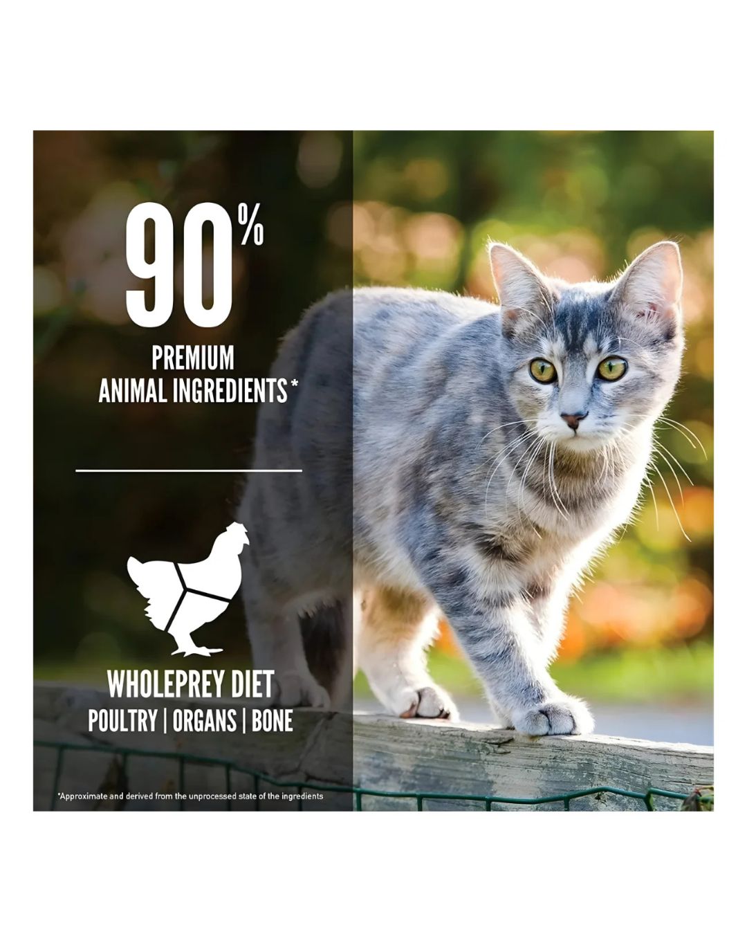 Orijen Original Cat