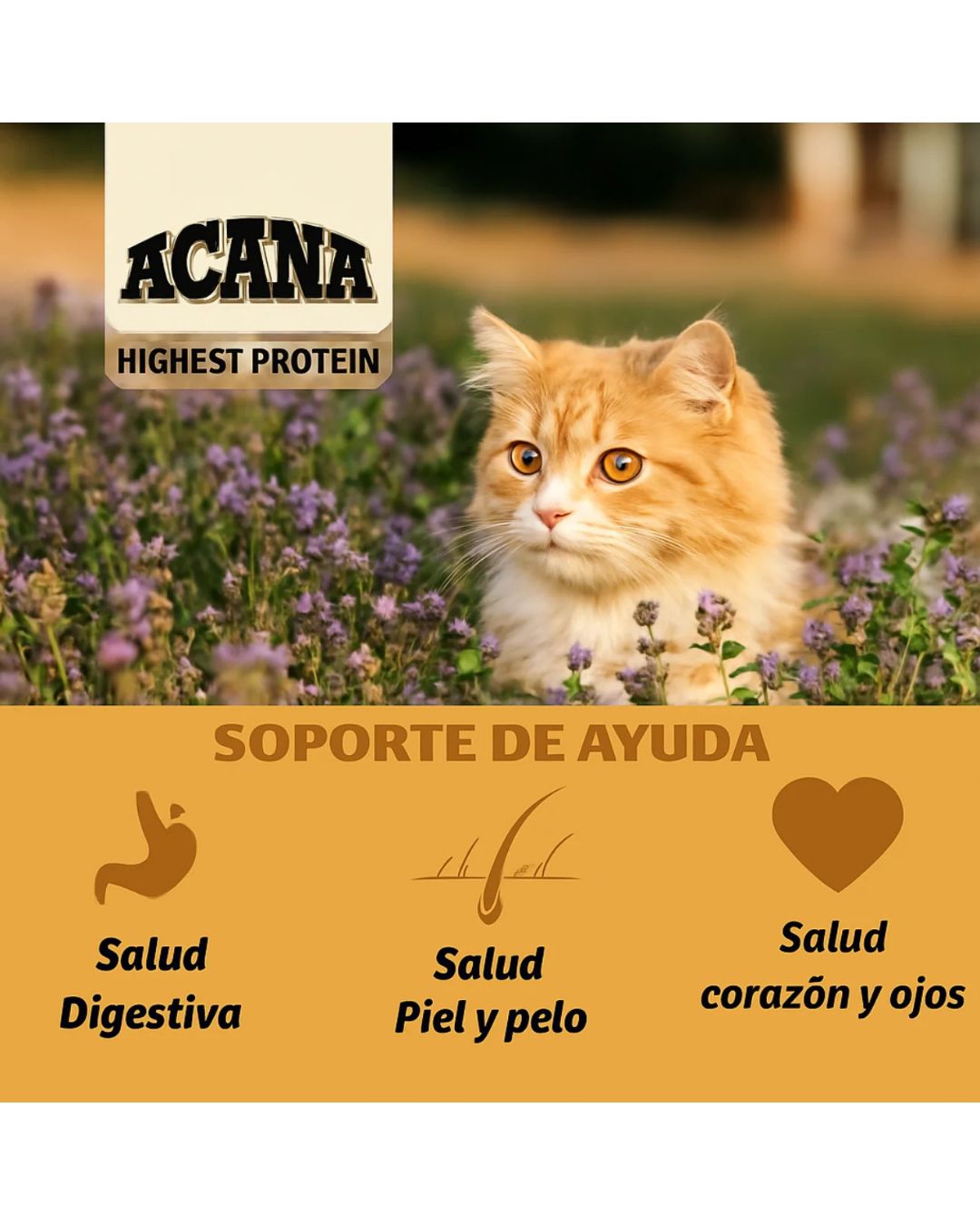 Acana Meadowlands Para Gatos 1.8kg