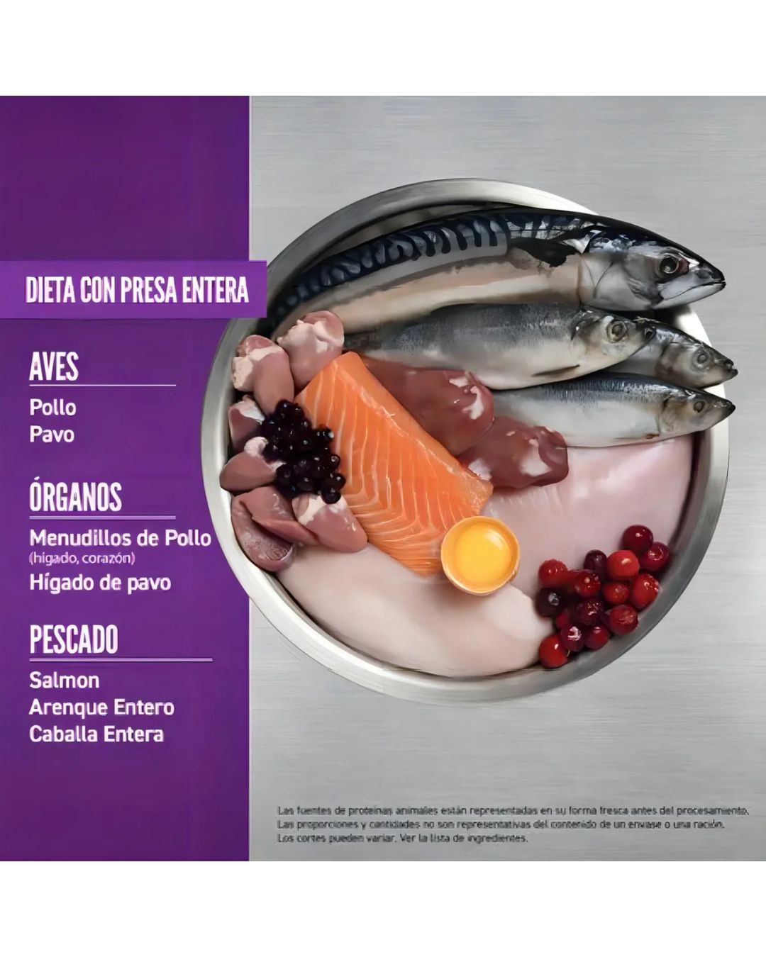 Orijen Kitten 1.8Kg Alimento para gatos pequeños