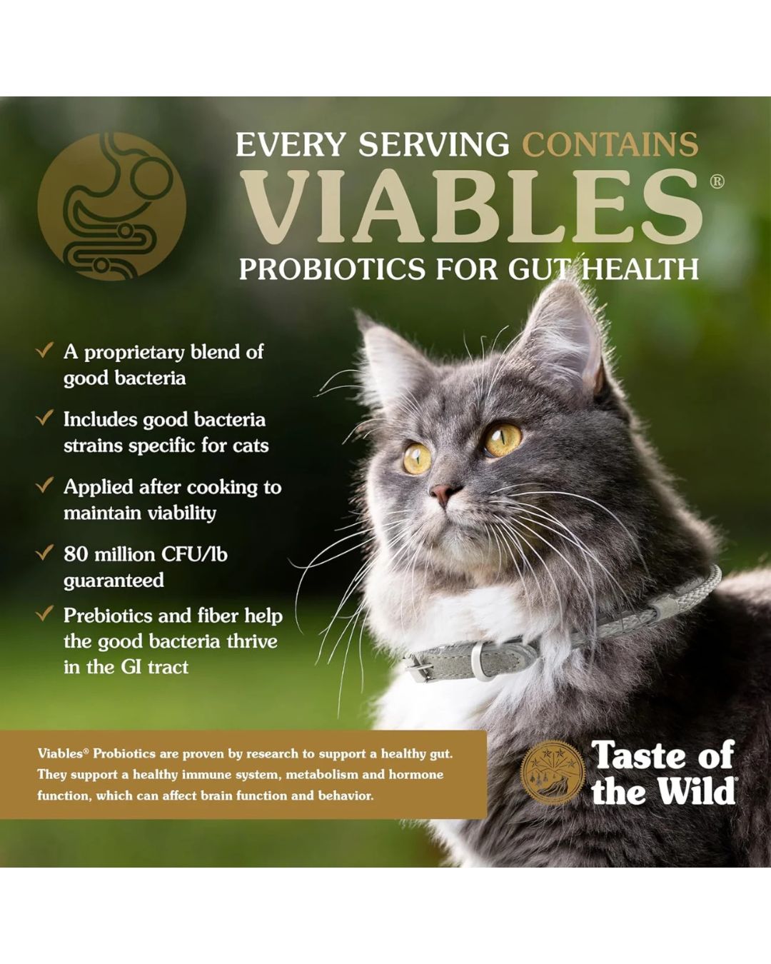 Taste Of The Wild Prey Alimento Seco Para Gato sabor Pavo