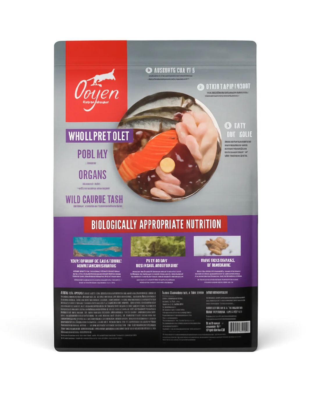 Orijen Kitten 1.8Kg Alimento para gatos pequeños