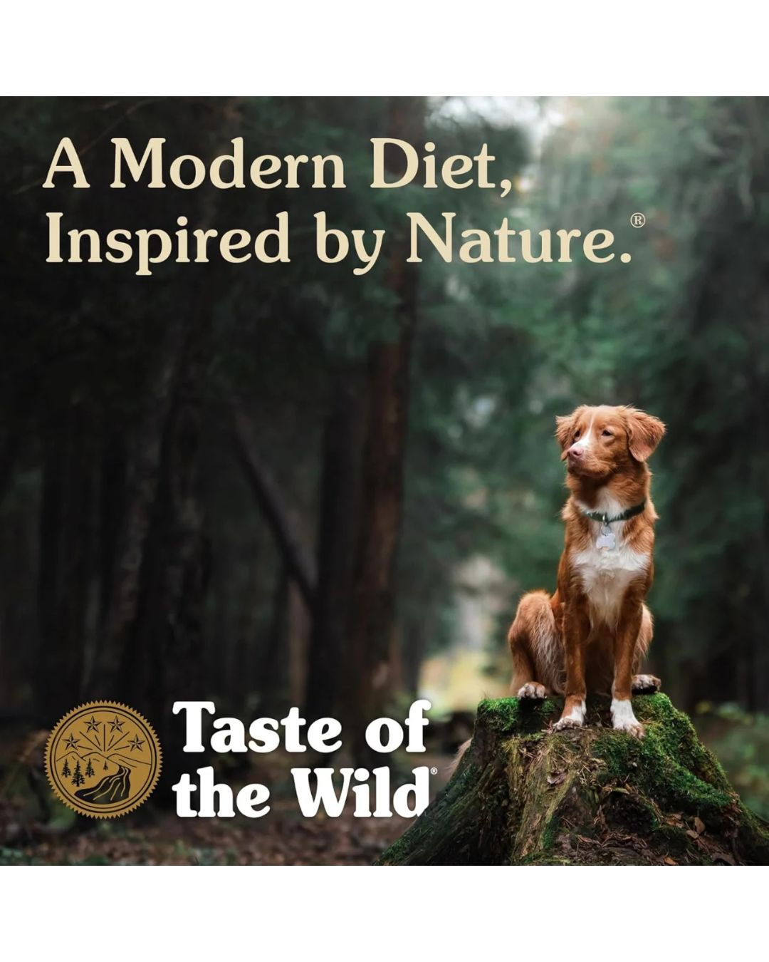 Taste of the Wild High Prairie Puppy Alimento seco 12 kg